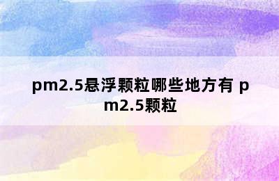 pm2.5悬浮颗粒哪些地方有 pm2.5颗粒